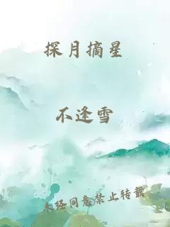 探月摘星